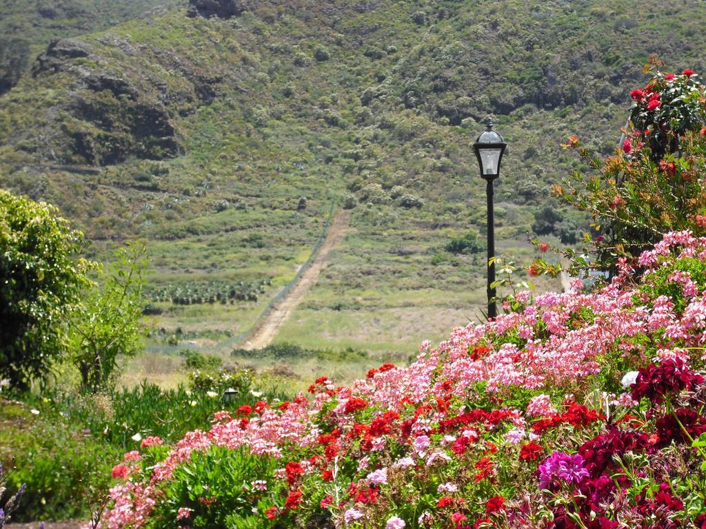 Finca El Picacho Apartments In The Countryside 2 Km From The Beach Tejina Værelse billede