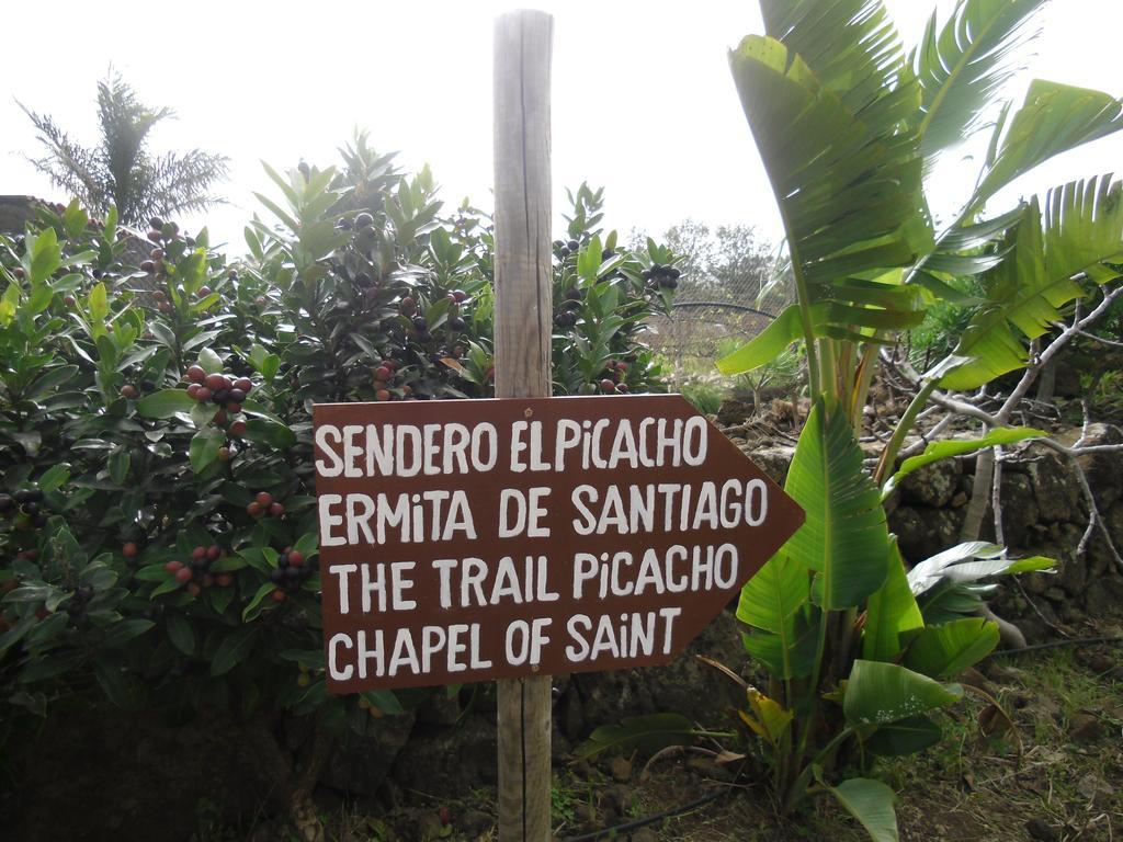 Finca El Picacho Apartments In The Countryside 2 Km From The Beach Tejina Værelse billede