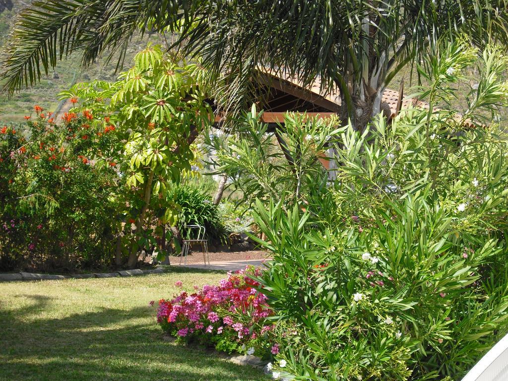 Finca El Picacho Apartments In The Countryside 2 Km From The Beach Tejina Eksteriør billede