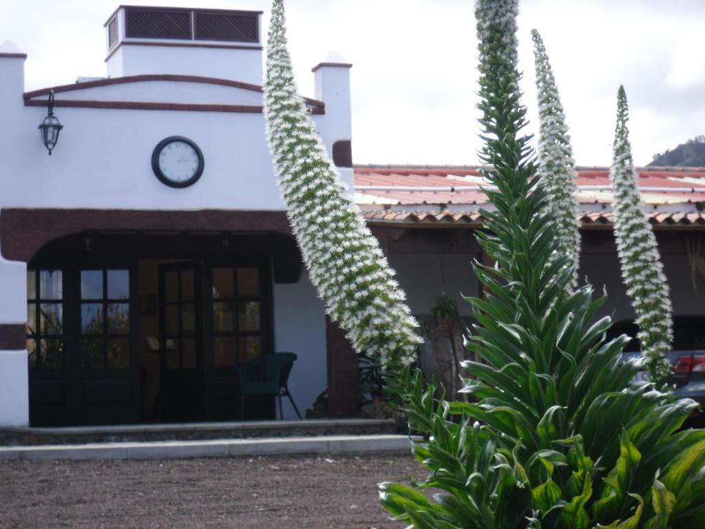 Finca El Picacho Apartments In The Countryside 2 Km From The Beach Tejina Eksteriør billede