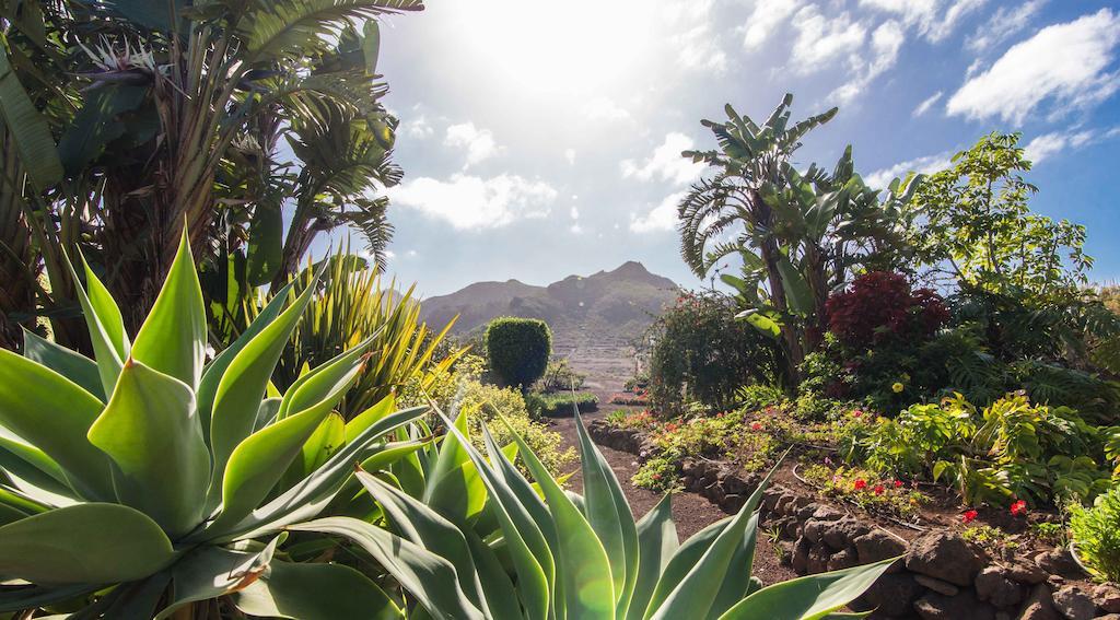 Finca El Picacho Apartments In The Countryside 2 Km From The Beach Tejina Værelse billede