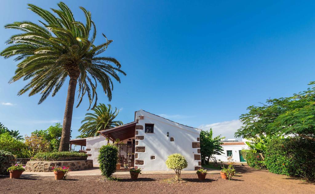 Finca El Picacho Apartments In The Countryside 2 Km From The Beach Tejina Værelse billede